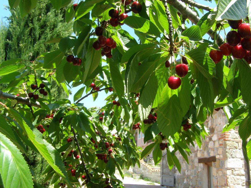 B&B Le Grazie Piaggine Dış mekan fotoğraf