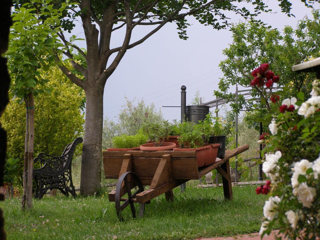 B&B Le Grazie Piaggine Dış mekan fotoğraf