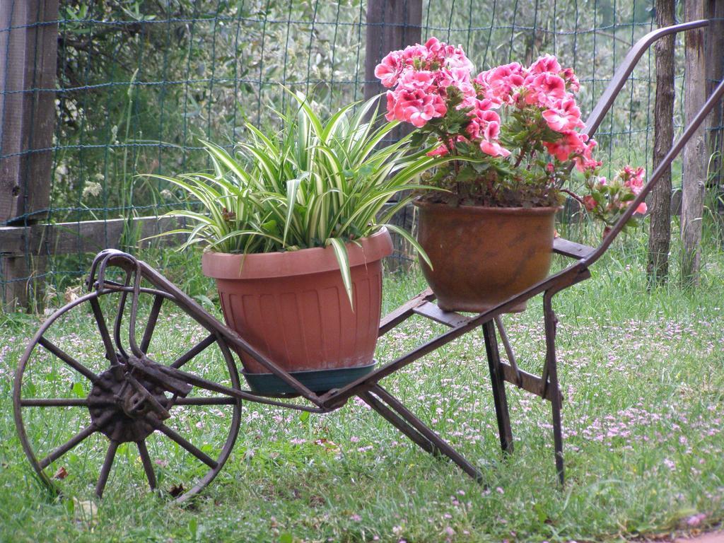 B&B Le Grazie Piaggine Dış mekan fotoğraf