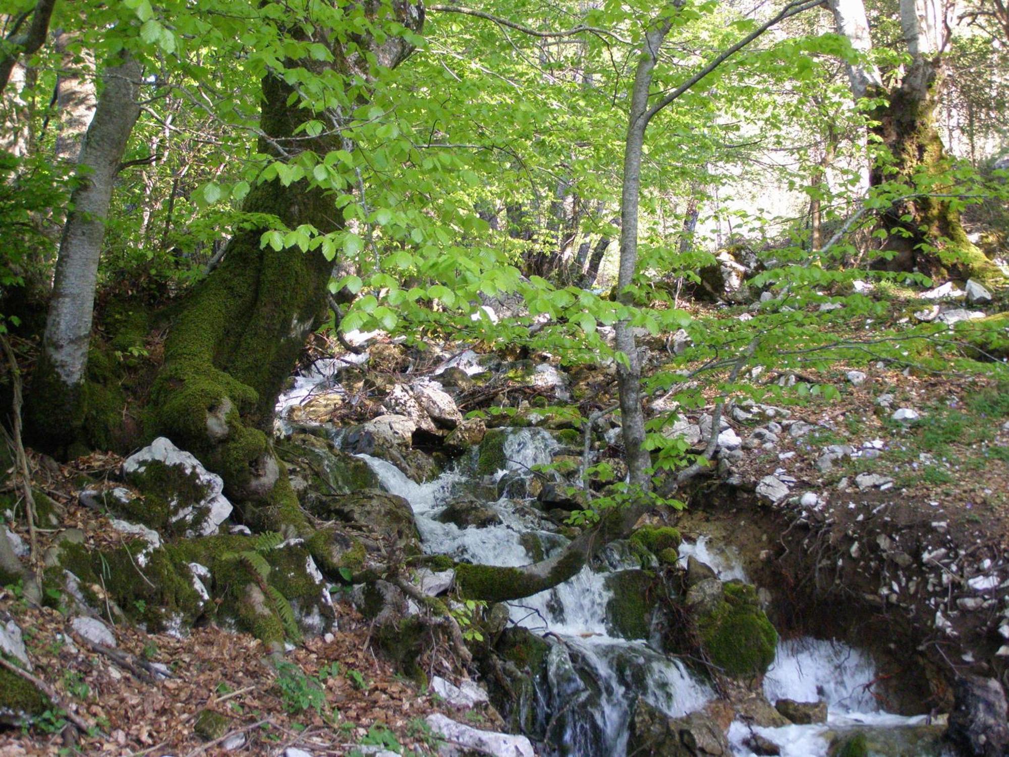 B&B Le Grazie Piaggine Dış mekan fotoğraf