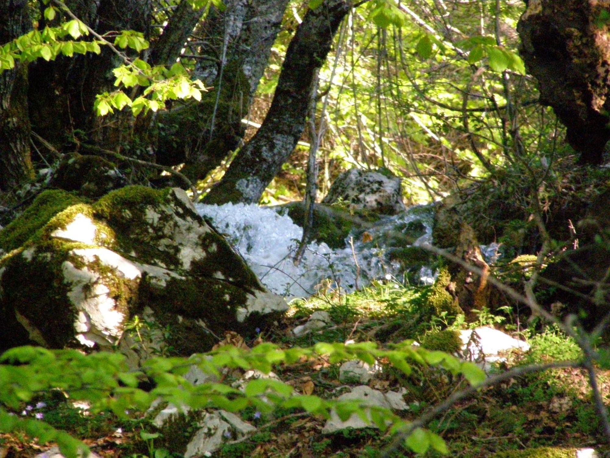 B&B Le Grazie Piaggine Dış mekan fotoğraf