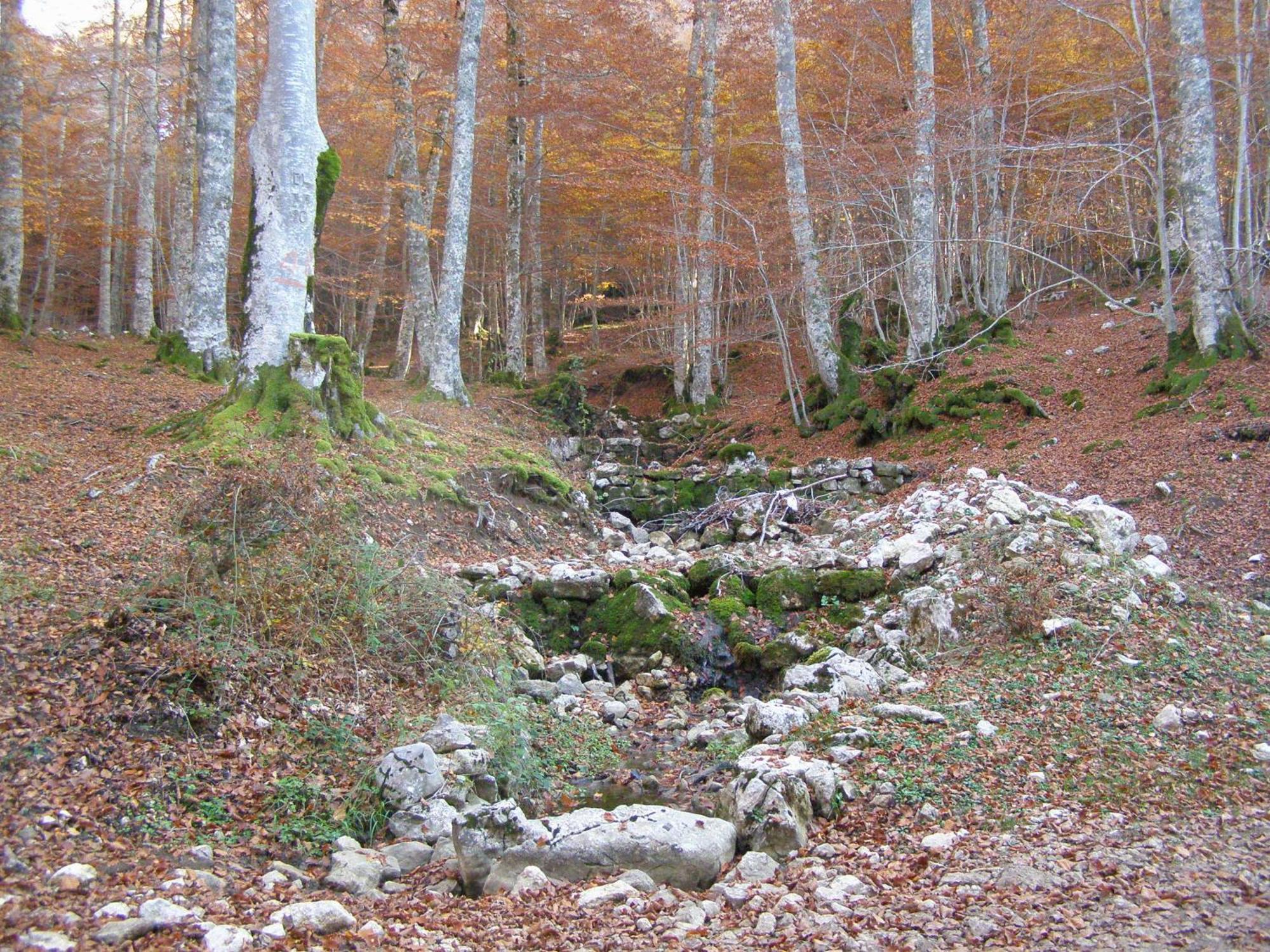 B&B Le Grazie Piaggine Dış mekan fotoğraf