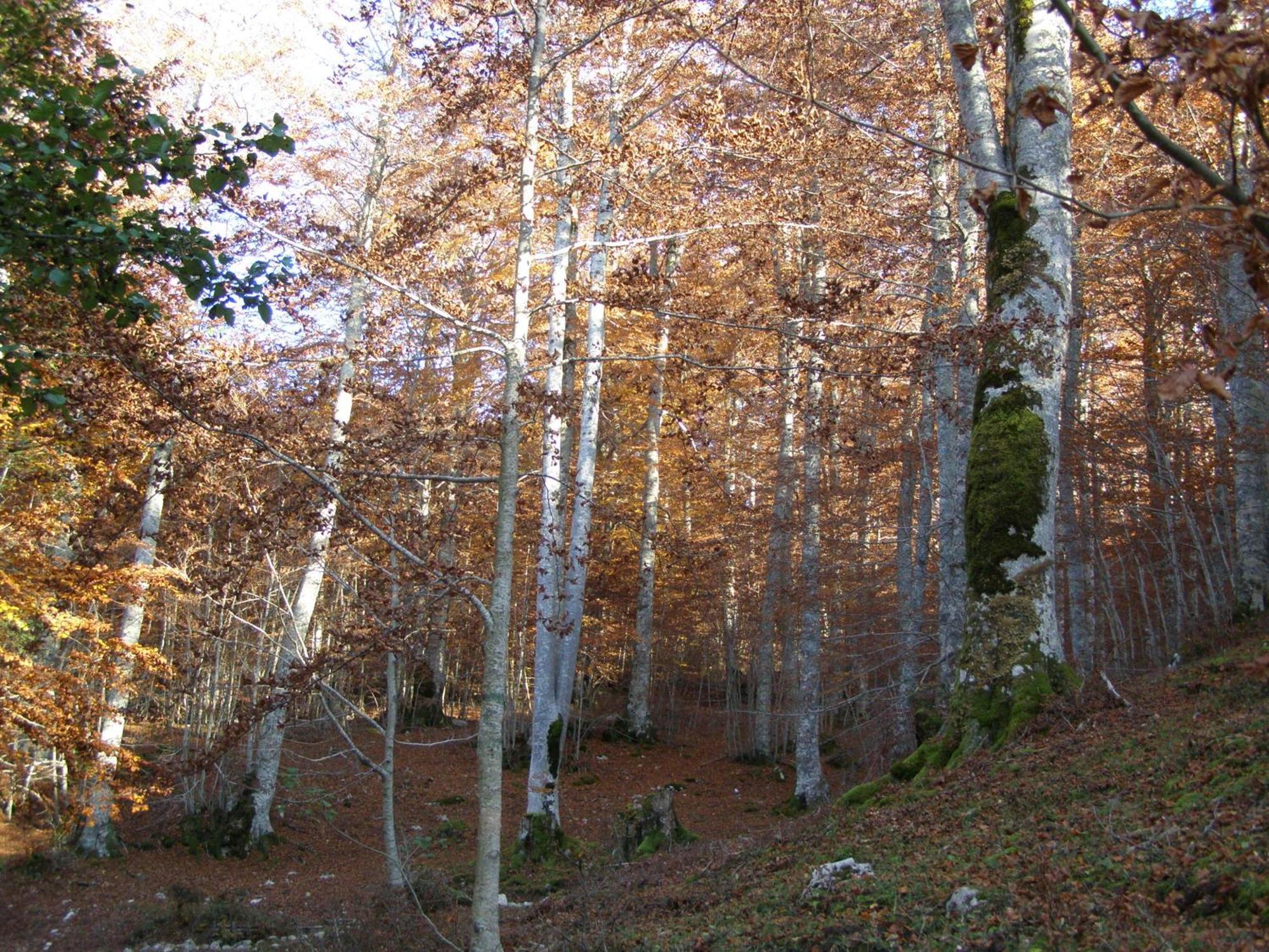 B&B Le Grazie Piaggine Dış mekan fotoğraf