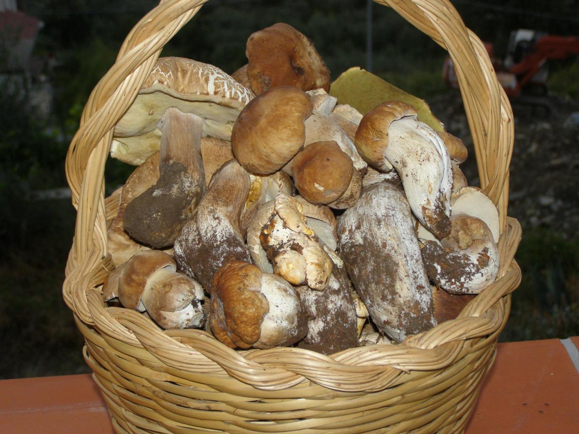 B&B Le Grazie Piaggine Dış mekan fotoğraf